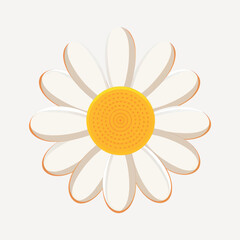 Sticker - Bright daisy flower illustration