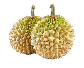 Two fresh durians with spiky green exterior, showcasing the unique texture and tropical appeal of this exotic fruit.