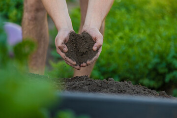 Poster - a man holds soil in his hands close-up. Selective focus