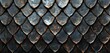 © Anna - Close-up of weathered metallic dragon scales with rusty accents forming a textured pattern. Concepts of strength, resilience, and industrial aesthetics.