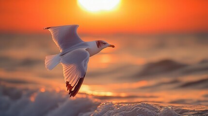 Seagull flying over the ocean at sunset.