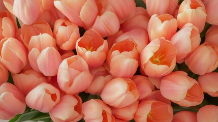 Poster - Aerial View of Symmetrical and Geometric Orange Tulip Pattern Captured in Bright, Diffused Lighting