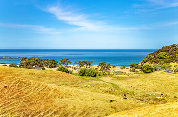 Parekura Bay, North Island, New Zealand, Oceania.