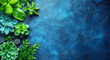 © Worrapol - Succulents and Greenery on Blue Background: A vibrant border of succulents and greenery against a deep blue backdrop.  Create a serene and natural aesthetic for your designs, inviting a sense of tranq