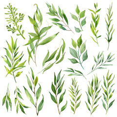 Wall Mural - willow tree leaves icon sets isolated 