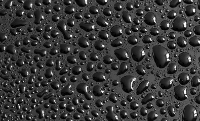 Wall Mural - Water drops on a black background. Texture