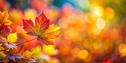 Wall Mural - Vibrant close up shot of autumn leaves with blurred background