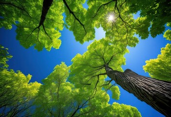 vibrant flourishing tree intricate characteristics showcasing lush green detailed rich textures clear blue sky, bark, branches, canopy, leaves, foliage