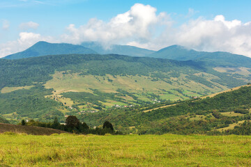 Sticker - mountain meadow in morning light. countryside autumn landscape with valley behind the forest on the grassy hill. fluffy clouds on a bright blue sky. nature freshness concept