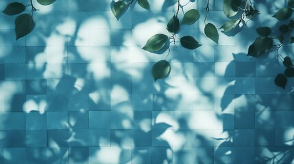Poster - A serene blue checkered texture with leaf shadows invites exploration and offers space for text.