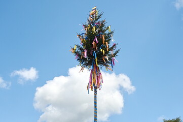 Wall Mural - Maibaum