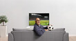 © Ljupco Smokovski - Mature man holding a football and sitting on a sofa in front of tv