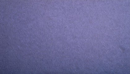 Wall Mural - the surface of purple blue cardboard grey paper texture with cellulose fibers generic gray tinted background with vignetting dark summer paperboard wallpaper top down macro