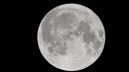 Wall Mural - full moon against a black night sky. close-up of the full moon illuminated against a pitch-black nig