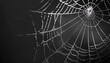 © Oleksiy - Creepy white spider web on black background