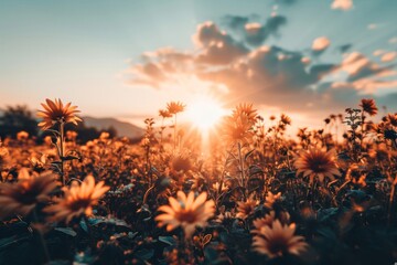 Wall Mural - an image of a sunflower field in full bloom, with rows of vibrant yellow flowers stretching towards 