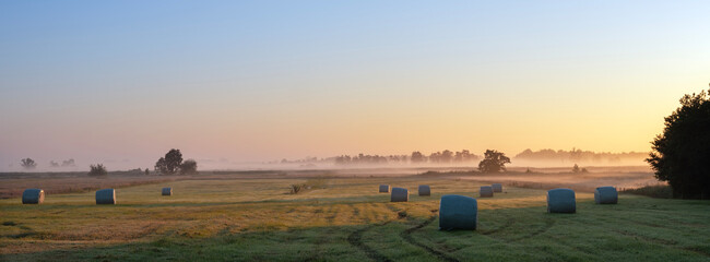 Wall Mural - hay bales in meadow during sunset in national park weerribben wieden near sint jansklooster in dutch province of overijssel