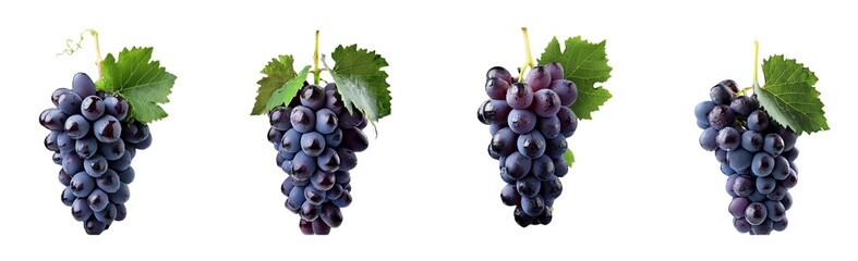 Wall Mural - Grapes isolated on white background