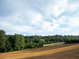 Poster - fields and forest near village of paissy in pays de laon