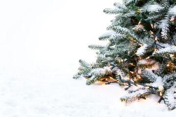 Canvas Print - A Christmas tree covered in snow with twinkling lights