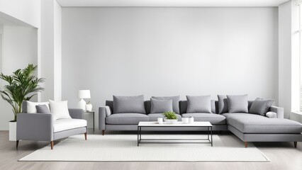 gray sofa in a white living room interior