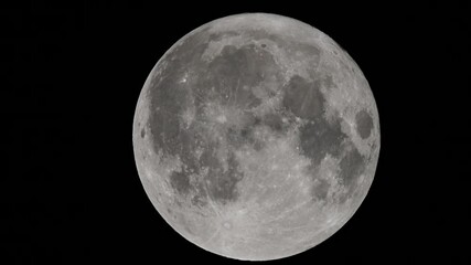 Wall Mural - full moon against a black night sky. close-up of the full moon illuminated against a pitch-black nig