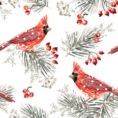 Wall Mural - christmas seamless pattern, cardinal birds, pine twigs, red berries, snow, white background. vector 