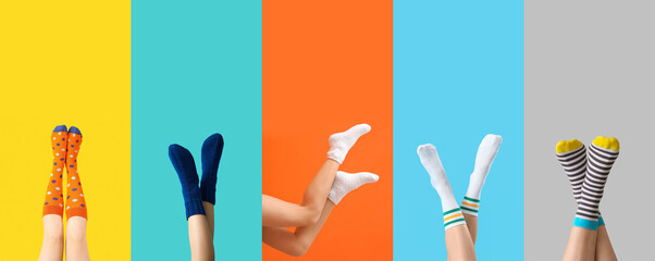 Poster - Many legs of young women in socks on color background