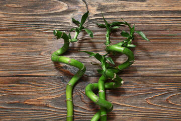 Wall Mural - Green bamboo stems on wooden background