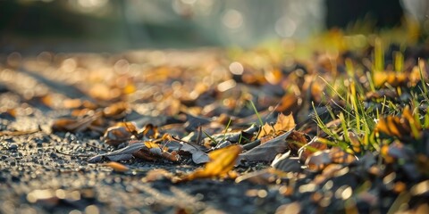 Wall Mural - Springtime dry leaves on the ground with shallow depth of field