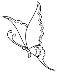 Canvas Print - Line drawings for coloring,butterfly