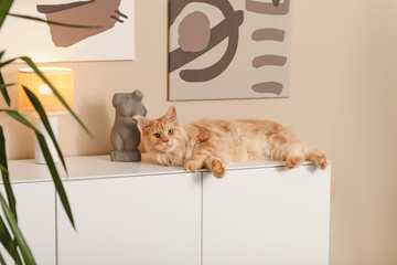 Wall Mural - Maine Coon cat lying on commode at home