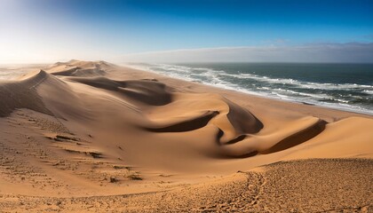 Wall Mural - namib desert with atlantic ocean meets near skeleton coast namibia south africa