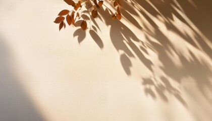 Wall Mural - tree leaves shadow on wall sunlight nature abstract background