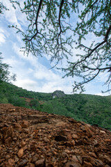 Road to the mountain. Arid mountains. Paths through the mountains with cacti and xeric vegetation. Red earth.