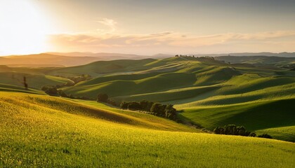 Wall Mural - golden hour landscape in rolling hills perfect for nature prints and posters