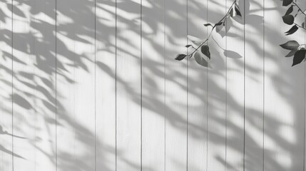Poster - White wood background with soft lighting and shadows, creating a neutral space for creative content.