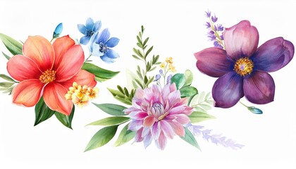 Wall Mural - watercolor illustration of flowers