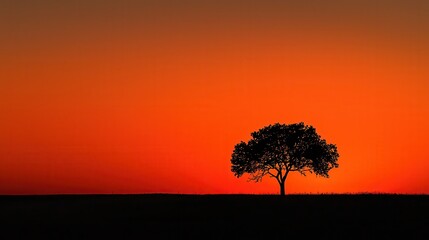 Wall Mural - Silhouette of Tree at Sunset with Orange Sky