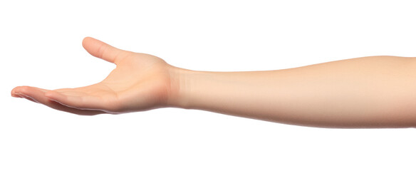 Close up of hand trying to reach for someone or something. Gesture of giving or asking help or sign for lust isolated on transparent png background. Carrying for you.  Gentle motion and gesture female