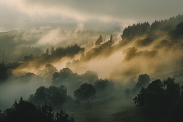 Poster - Foggy Landscape's Ethereal Embrace