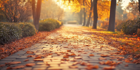 Wall Mural - Dry leaves cover a sidewalk in autumn park