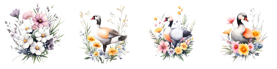 Wall Mural - Watercolor Goose and Flowers Clipart - Perfect for Invitations and Greeting Cards isolated on transparent background