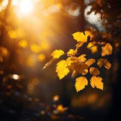 Wall Mural - Beautiful blurred autumn background with yellow-gold leaves in the rays of sunlight on a dark natural background.
