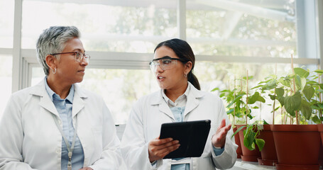 Canvas Print - Collaboration science and women with tablet, plants and agriculture for medical pharmaceuticals. People, employees and researchers with tech, nature and digital app for gmo results and connection