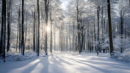 Sticker - Snowy Forest Path With Sunshine