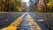 © Erd.Concept - Autumn Road with Yellow Lines