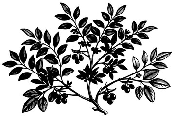 Wall Mural - Branch leaves black silhouettes set