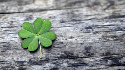 Canvas Print - A single four-leaf clover on a wooden surface.