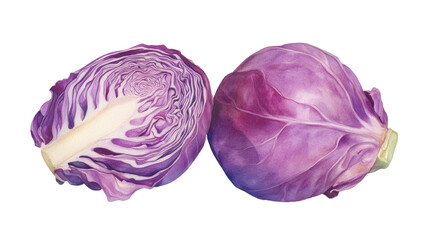 watercolor illustration of fresh purple cabbage, cut in half to reveal its vibrant interior, isolated on a white background.